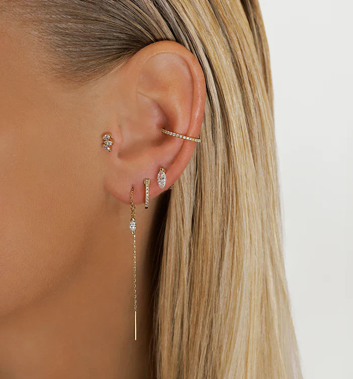 CONCH GLO